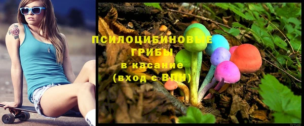 спиды Липки