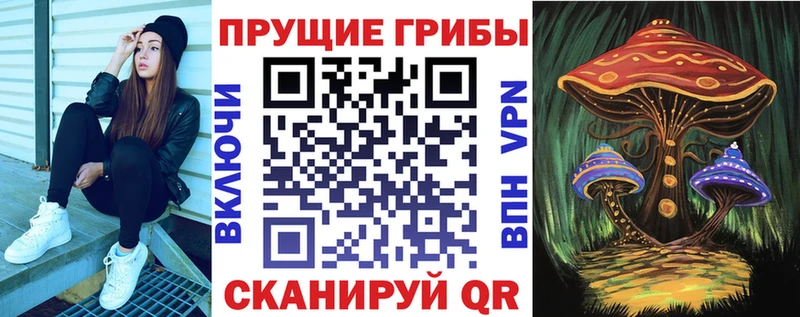Купить  Тырныауз  Галлюциногенные грибы Magic Shrooms 